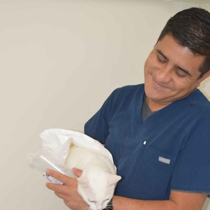 Navet-servicios-veterinaria-2a